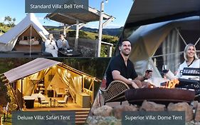 Cicada Luxury Camping